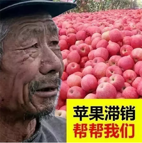 QQ截圖20181015135051