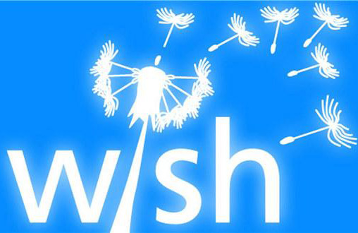 wish新手賣家如何做運營？先從這些細節(jié)問題著手