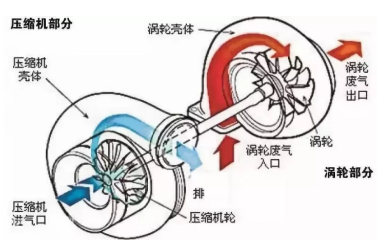 內(nèi)部結(jié)構(gòu)