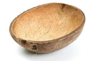 這個爆紅的椰子殼在亞馬遜上賣1365盧比，看看人家是怎么做到的