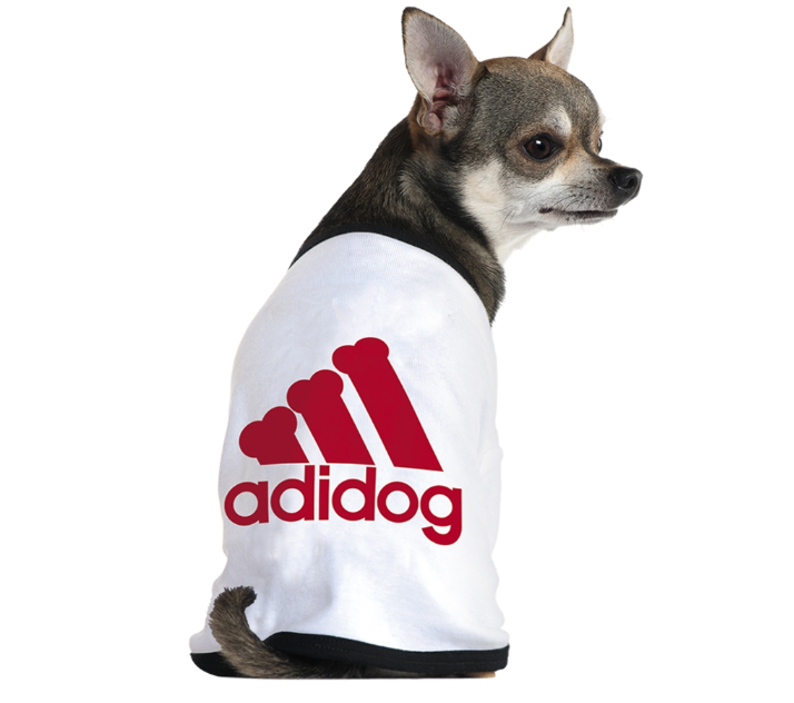 想蹭Adidas的熱度沒那么容易，Adidog商標(biāo)被撤銷