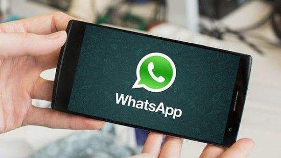 深度解析WhatsApp封號原因，WhatsApp養(yǎng)號技巧大盤點