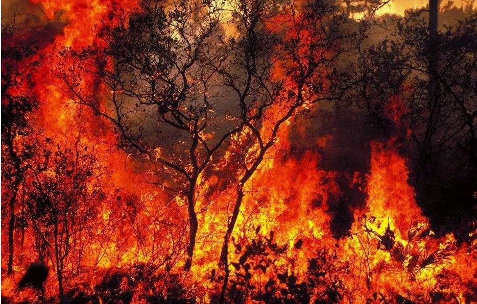 全球進入森林火災(zāi)高發(fā)期,帶動口罩、空氣凈化器等防煙塵產(chǎn)品熱銷