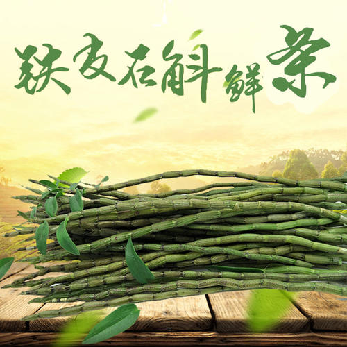 浙江溫州商標(biāo)注冊又一枚地方商標(biāo)名誕生：雁蕩山鐵皮石斛