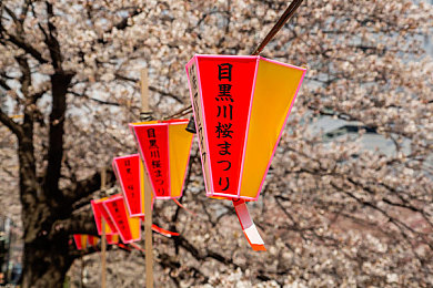 淺談日本商標(biāo)保護范圍