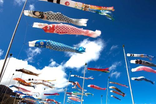 這些日本商標(biāo)注冊注意事項你最好了解清楚