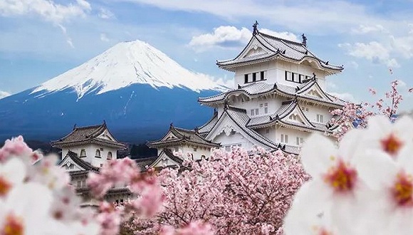 日本商標(biāo)注冊(cè)及相關(guān)業(yè)務(wù)所需資料匯總（注冊(cè)、查詢、續(xù)展、轉(zhuǎn)讓）