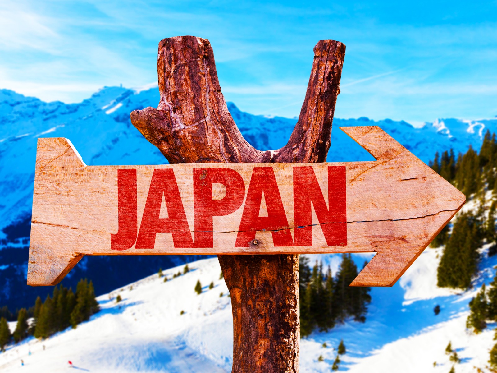 日本商標(biāo)注冊需要多久？看完就明白了