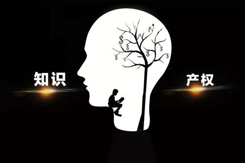 知識產(chǎn)權(quán)的保護(hù)主要有商標(biāo)注冊、專利申請、版權(quán)登記，期間會遇見哪些常見問題？