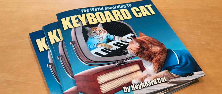 【22-2353】案件預(yù)警：Keyboard Cat 鍵盤貓商標(biāo)侵權(quán)維權(quán)，TRO已被批準(zhǔn)