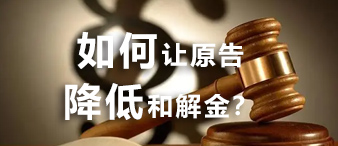 [賽貝22-3740]Journalinesh日記本案件成功低額和解！以應(yīng)訴手段迫使原告降低和解金！[22-cv-3740]