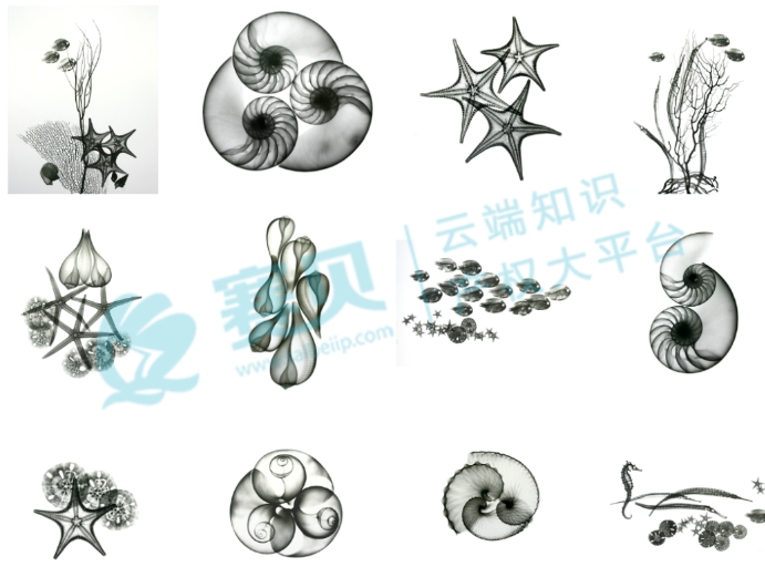 文章內(nèi)容插圖圖片