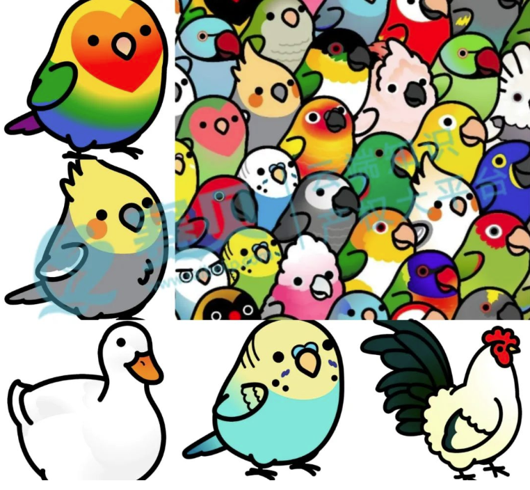 文章內(nèi)容插圖圖片