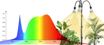 【24-cv-11654】LED植物生長(zhǎng)燈TRO專利維權(quán)，立即停售下架！未開始凍結(jié)賬戶資金！