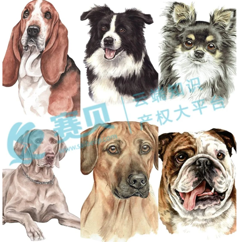 文章內(nèi)容插圖圖片