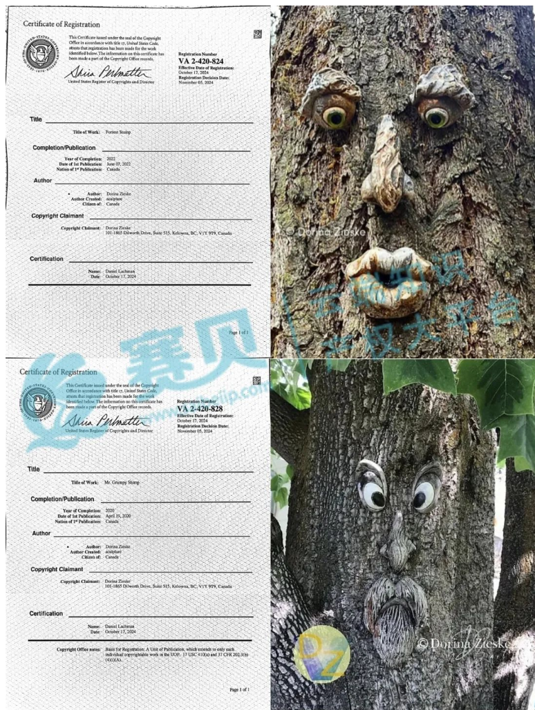 文章內(nèi)容插圖圖片