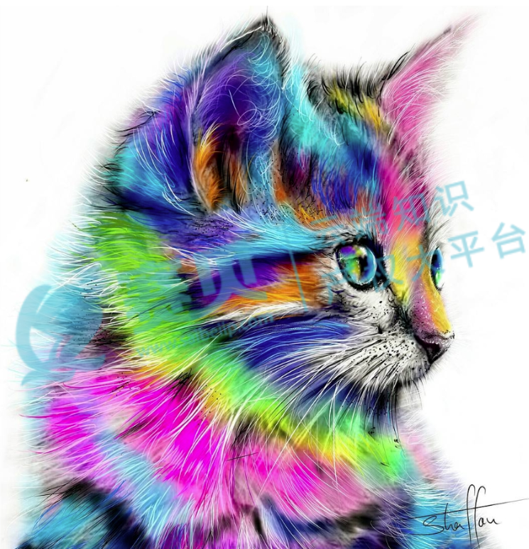 文章內(nèi)容插圖圖片