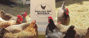 【25-cv-5219】警惕！Poultry Feeder 家禽喂養(yǎng)器商標+專利TRO維權(quán)又雙叒發(fā)案啦，未開始凍結(jié)賬戶資金！